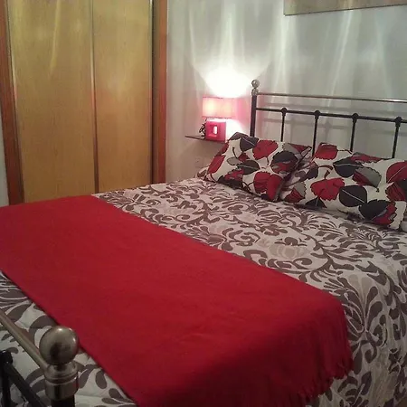 Zoa 公寓 托雷维耶哈